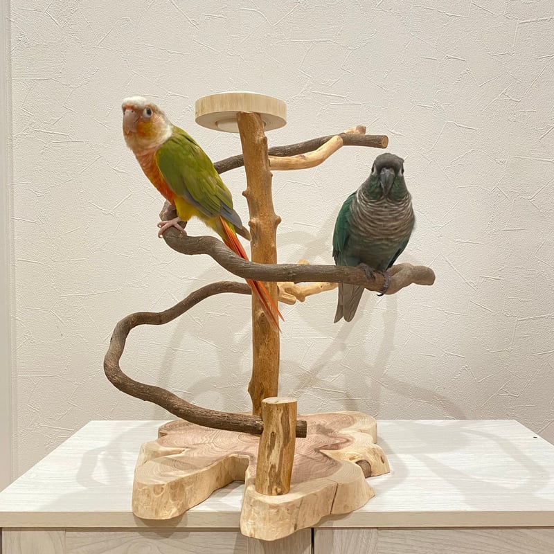 【中型鳥用】天然木バードアスレチック Amazon | バードアスレチック 鳥 遊び場 四層 バード