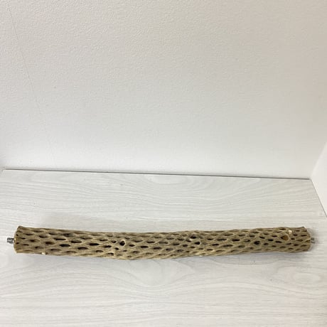 ケージサイズカクタスパーチ⑥小サイズ直径約4cm HOEI465サイズ