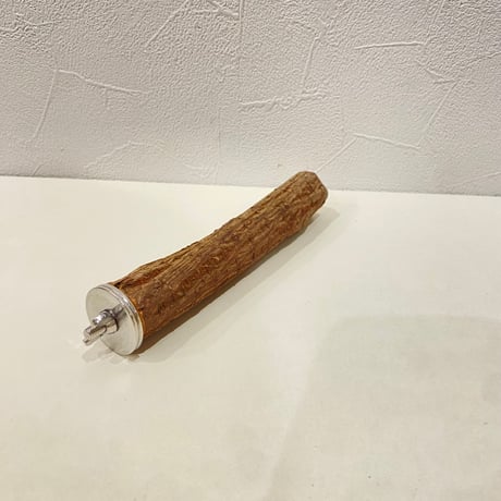 自然木（ツタ）パーチ 直径約2.5cm/長さ14.5cm