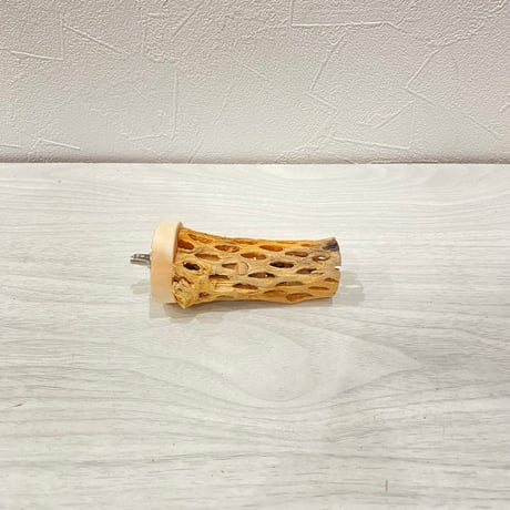 カクタスパーチ極小サイズ長さ8cm