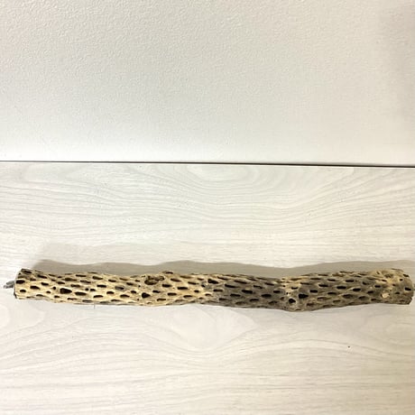 【I.AK様専用】ケージサイズカクタスパーチ 極小サイズ直径3cm HOEI465サイズ
