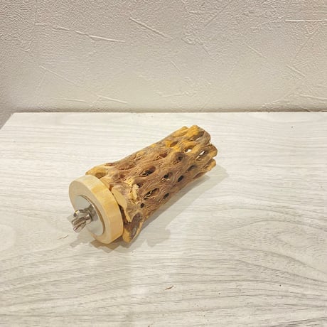 カクタスパーチ【10】直径4~5cm/長さ10cm