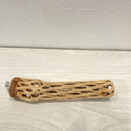 カクタスパーチ⑩  極小 直径3cm前後 長さ15cm