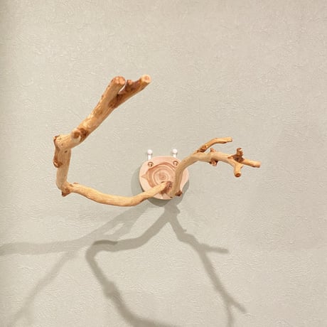 ピノキオの鼻 ⑤