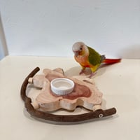 おやつ入れ付き貝塚伊吹のテーブルパーチ【インコのおやつ入れ】