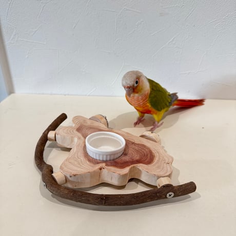 おやつ入れ付き貝塚伊吹のテーブルパーチ【インコのおやつ入れ】