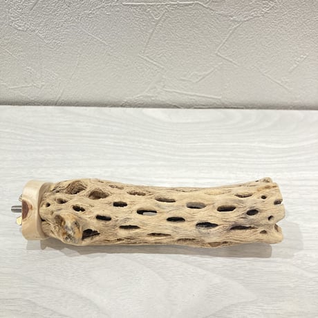 カクタスパーチ【12】小 直径約3.5cm 長さ15cm