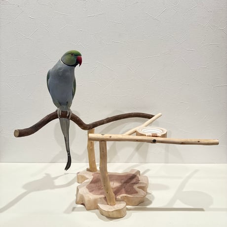 ツタと桧のおやつ入れ付きスタンドパーチ  【インコ 自然木 止まり木 】