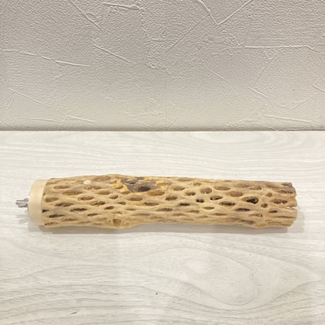カクタスパーチ小㉒ 直径約3~4cm 長さ20cm