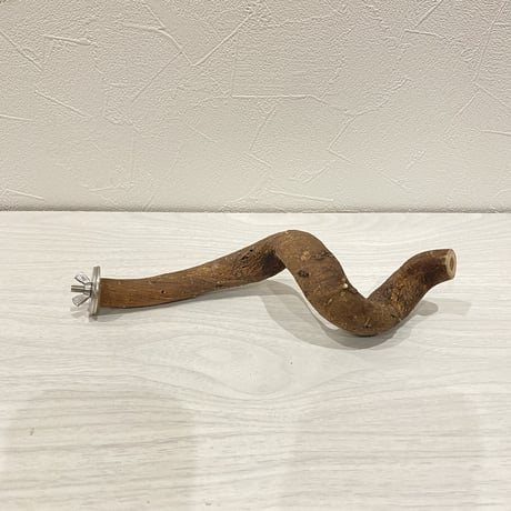 自然木（ツタ）パーチ⑥小型・ 中型用