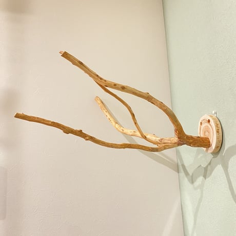 ピノキオの鼻 ②  中型から大型用