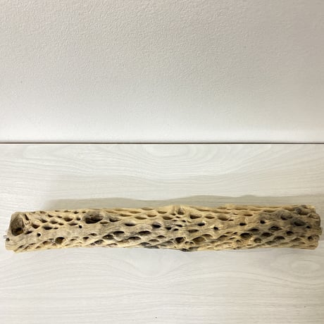 ケージサイズカクタスパーチ① 中サイズ直径約5.5cm HOEI465サイズ