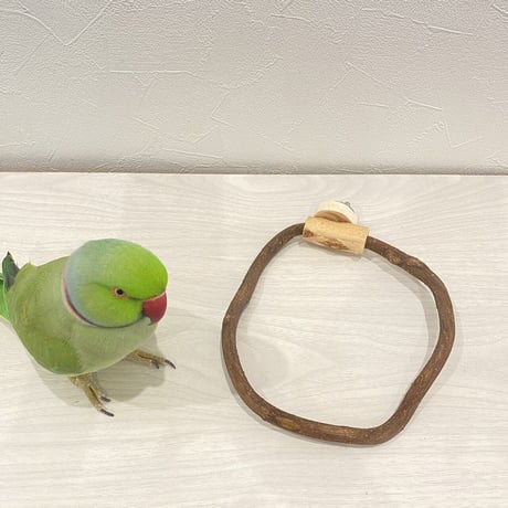 自然木（ツタ）のドーナツパーチビックサイズ  Ｌパーチ直径1cm／円直径17.5×15.5cm