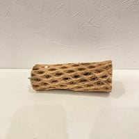 カクタスパーチ⑭ 直径約5cm/長さ14.5cm