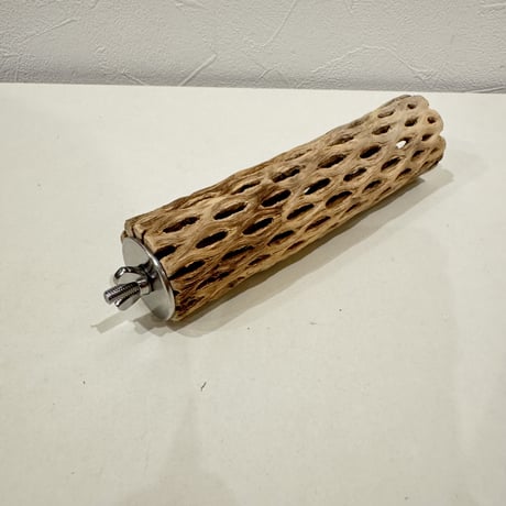 カクタスパーチ【⑬小】15cm 直径約3.5cm【サボテンの骨 バンブルフット予防 インコ 止まり木】