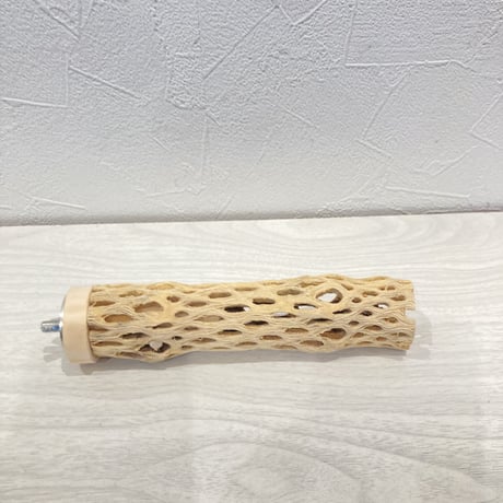 カクタスパーチ極小⑨ 直径約2~3cm 長さ15cm