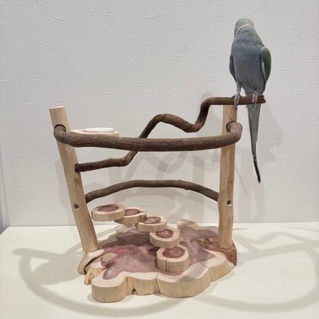ツタと貝塚伊吹の螺旋階段アスレチック【インコのおもちゃ・自然木のとまり木】