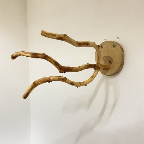 ピノキオの鼻 ④