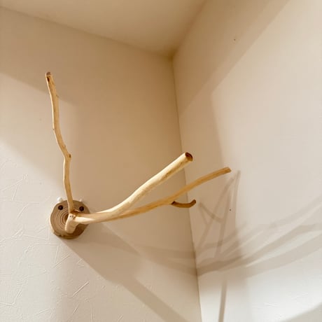 桧のピノキオの鼻 ④  【自然木 天然木 止まり木 インコ オウム】