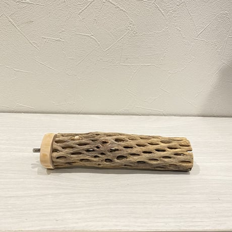カクタスパーチ【21】 小直径3.5cm/15cm