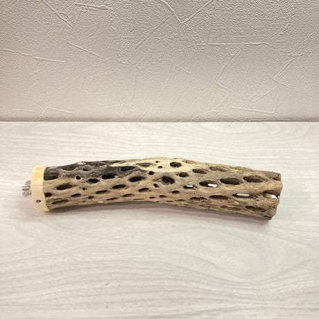 カクタスパーチ【I】  小 直径4cm前後 長さ20cm