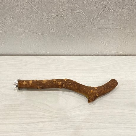 自然木（ツタ）パーチ③ 直径2.3cm/長さ25cm