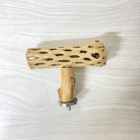 【yae23yae様専用】カクタスパーチ 小サイズ HOEI35