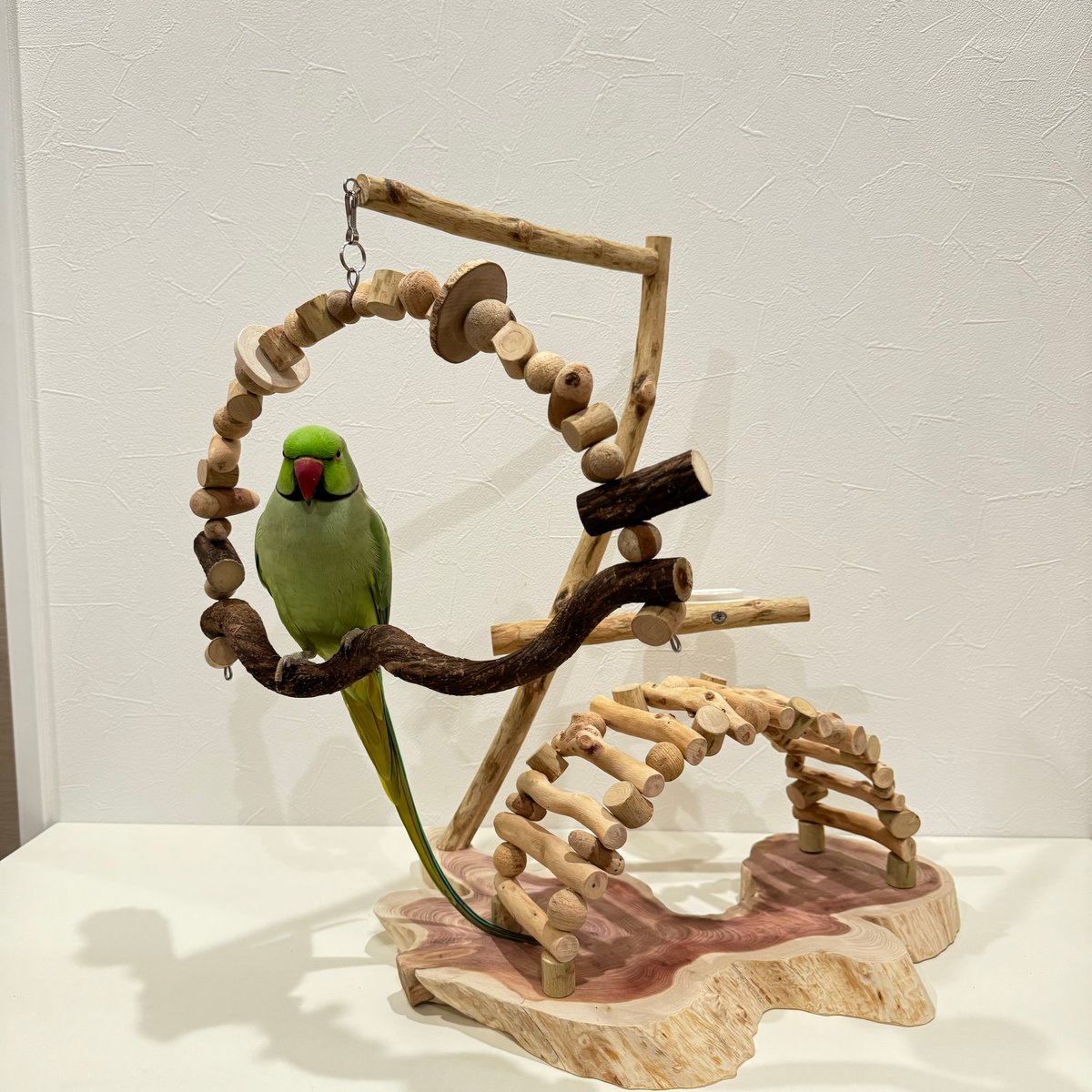 バードアスレチック66流木 バードジム　バードトイ　螺旋階段を登って バードアスレチック66流木 バードジム バードトイ 螺旋階段を登って