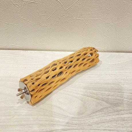 カクタスパーチ【27】直径4~5cm/長さ20cm