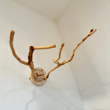 ピノキオの鼻 ② お鼻2本