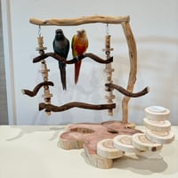ブランコと螺旋階段のバードアスレチック【インコのおもちゃ・自然木のとまり木】