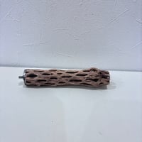 カクタスパーチ極小サイズ⑬ 直径約3cm/長さ15cm【自然木 止まり木 バンブルフット 趾瘤症 】