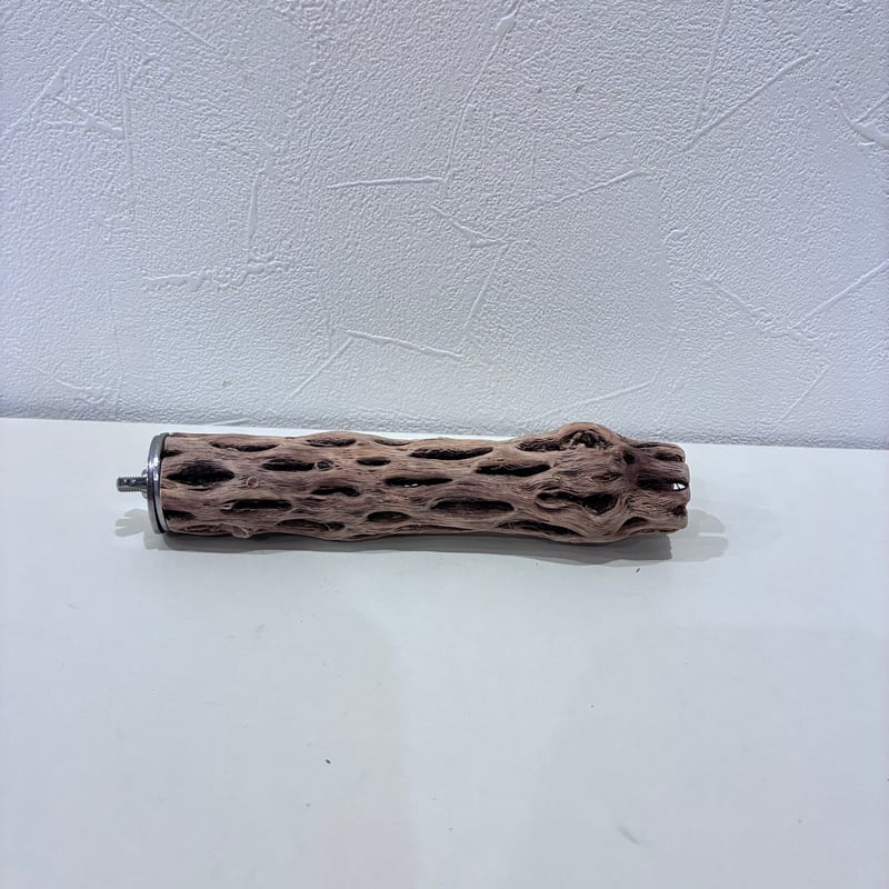 カクタスパーチ極小サイズ⑬ 直径約3cm/長さ15cm【自然木 止まり木