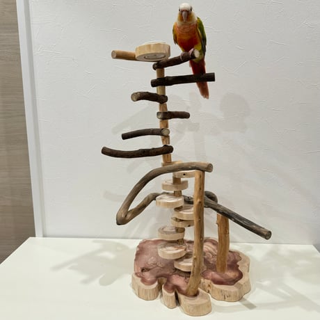 螺旋ツタパーチと螺旋階段のバードアスレチック【インコのおもちゃ・自然木のとまり木】