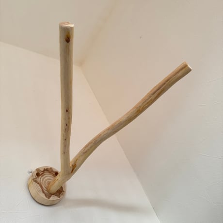 桧のピノキオの鼻②