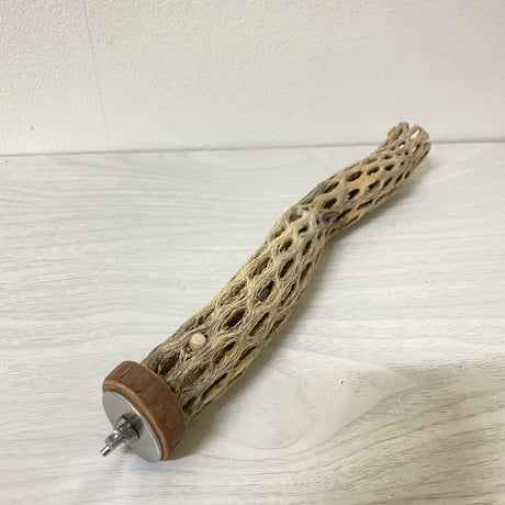 【小型さん用】カクタスパーチ⑦ 極小 直径2-3cm／長さ23cm