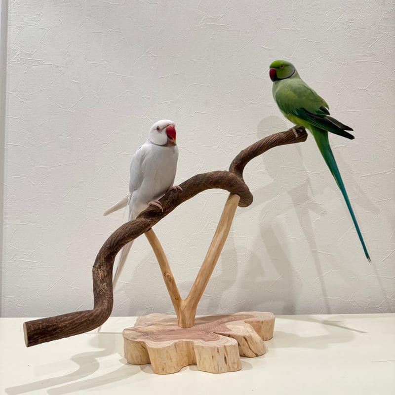18☆　中型インコ　止まり木　Tパーチ　☆　スタンドパーチ　バードトイ ツタの殿様スタンドパーチ 【インコ 天然木 自然木 パーチ 止まり木