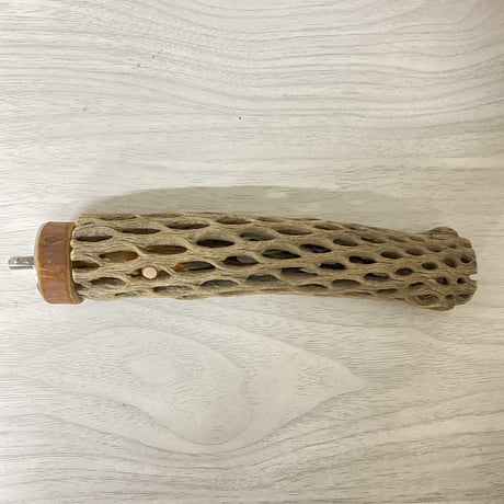 【pearl様専用】カクタスパーチ　極小サイズ 直径（約2-3cm）長さ/15cm