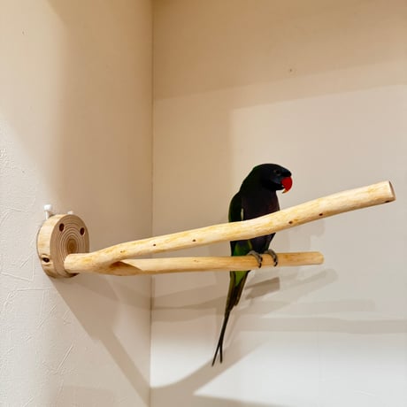 桧のピノキオの鼻 ②  【自然木 天然木 止まり木 インコ オウム】