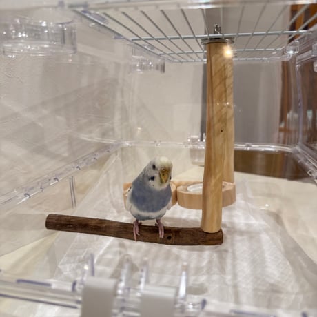 【受注製作】ルーミー用つり下げL字パーチ 幼鳥・老鳥・病鳥【SANKOルーミーベーシック用 インコ 天然木の止まり木】