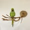 ピノキオの鼻 ④