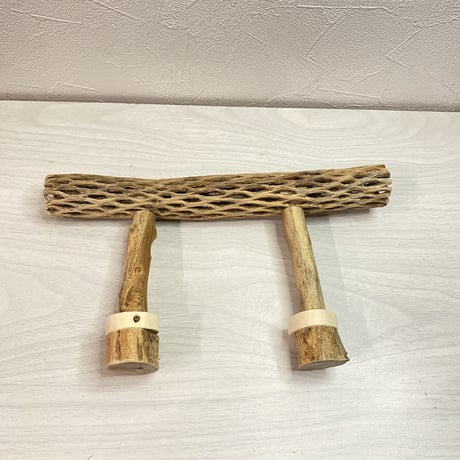 使い方いろいろ 屋上カクタスパーチ【I】 極小 横25cm 高さ8cm