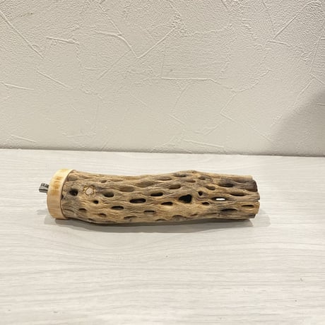 カクタスパーチ【20】 小直径3.5cm/15cm