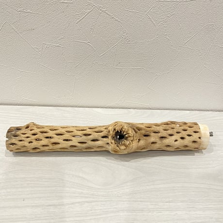カクタスパーチ③ 中直径約5.5cm/32cm