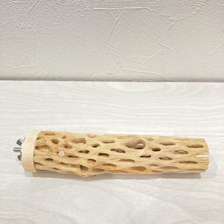 カクタスパーチ【10】小 直径約3.5cm 長さ15cm