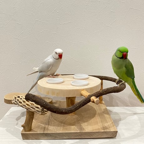ツタとカクタス アリスのお茶会テーブル