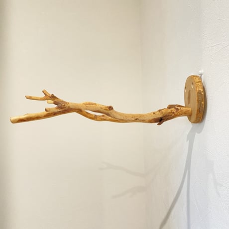 ピノキオの鼻 ⑨