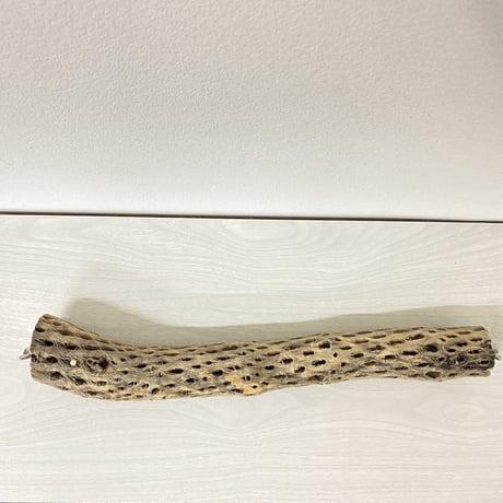 ケージサイズカクタスパーチ⑦ 中サイズ直径約5.5cm HOEI465サイズ