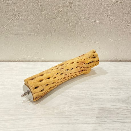カクタスパーチ【I】直径4~5cm/長さ20cm