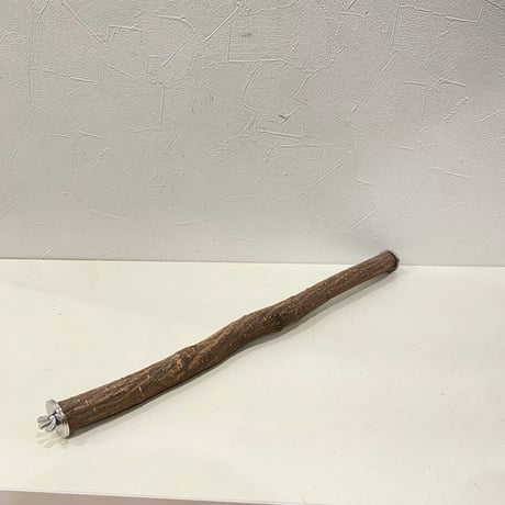 殿様パーチ⑤（自然木ツタ） HOEI465サイズ